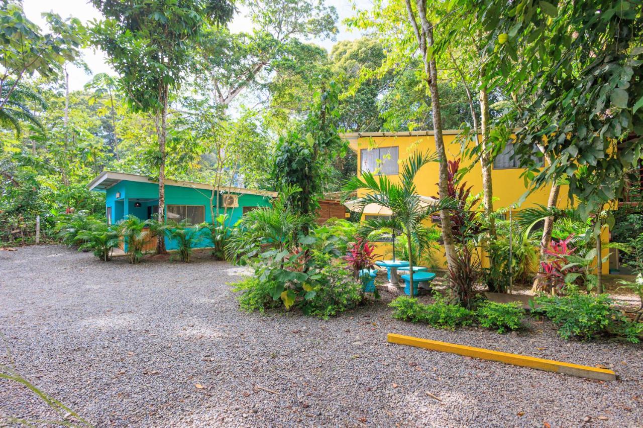 Hotel Boutique D Angelo Manzanillo  Extérieur photo