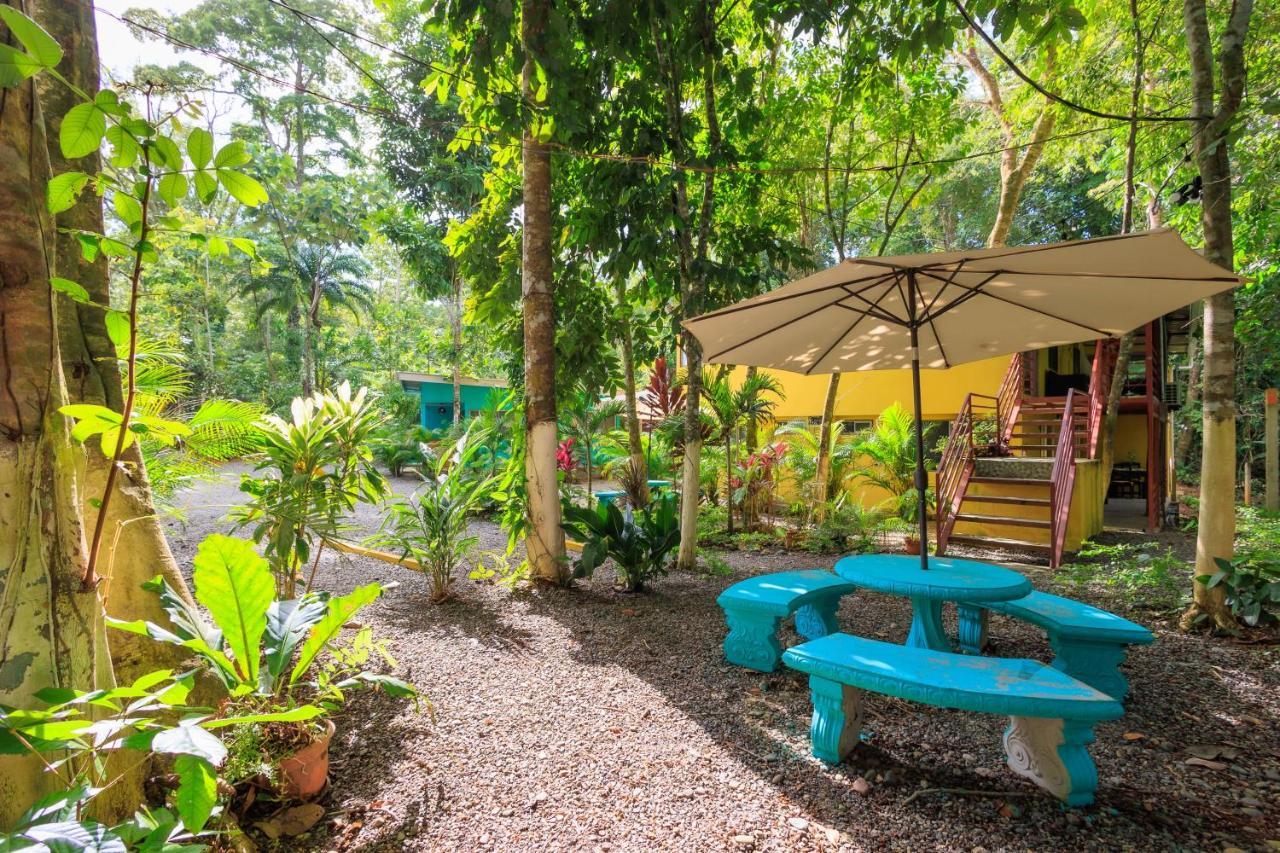 Hotel Boutique D Angelo Manzanillo  Extérieur photo