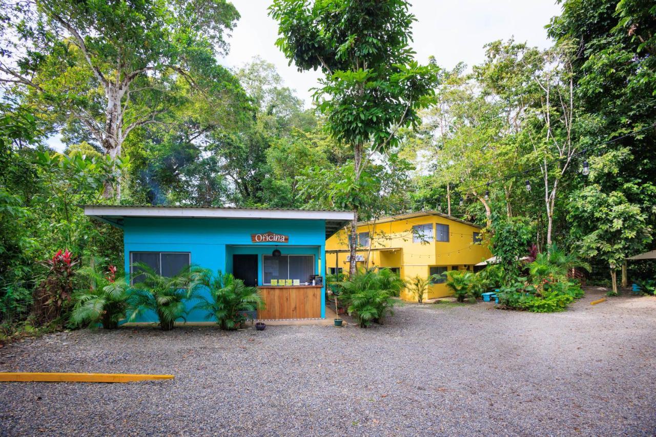 Hotel Boutique D Angelo Manzanillo  Extérieur photo