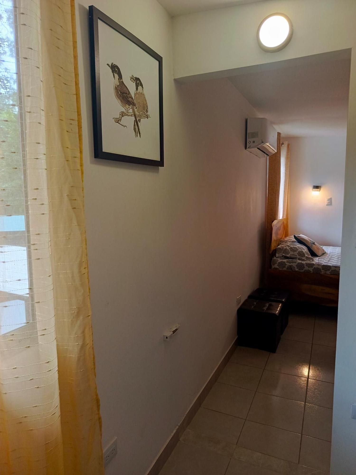 Hotel Boutique D Angelo Manzanillo  Extérieur photo